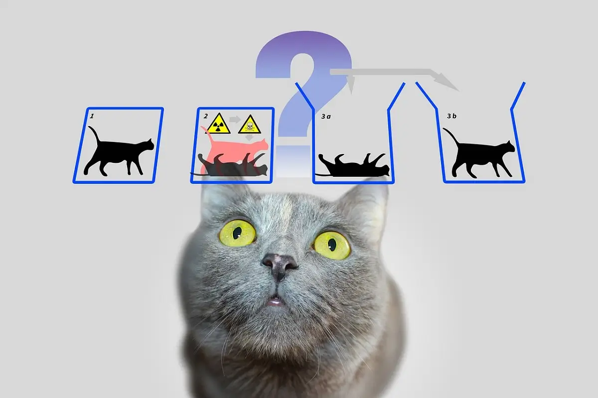 Il paradosso del gatto di Schrödinger