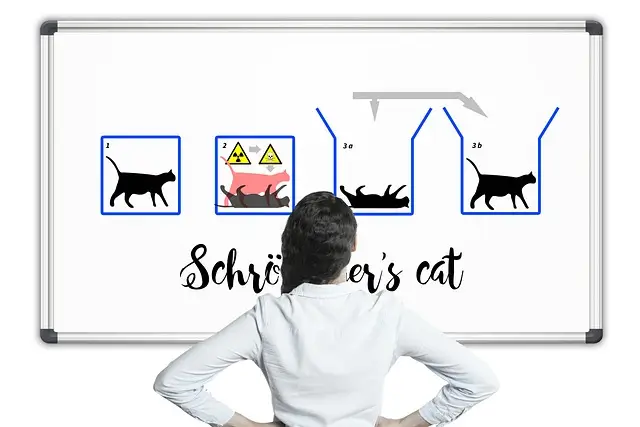 Il paradosso del gatto di Schrödinger e le sue implicazioni